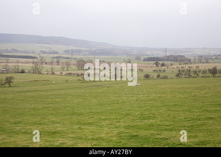 Les champs autour de Glanton en Angleterre Northumberland rural. Banque D'Images