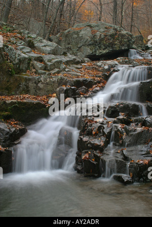 Autunm falls witer oak Canyon Virginia USA Banque D'Images