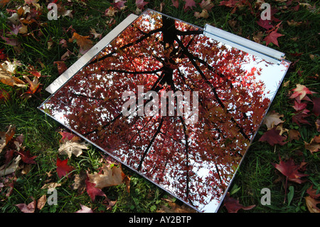 L'automne sur le miroir - Udine Frioul Parco del Cormor Italie Banque D'Images