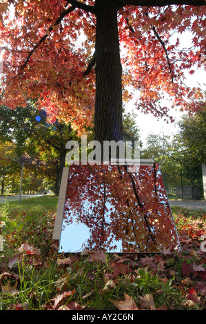 L'automne sur le miroir - Udine Frioul Parco del Cormor Italie Banque D'Images