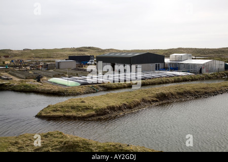 Ferme Ostréicole sur l'île de Walney dans South Cumbria Banque D'Images