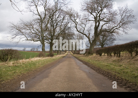 Le paysage rural autour du village de Glanton dans le Northumberland, en Angleterre. Banque D'Images