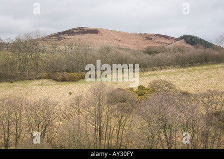 Le paysage rural autour du village de Glanton dans le Northumberland, en Angleterre. Banque D'Images