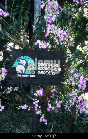 Zoo de Singapour connexion devenir entouré d'orchidées. Banque D'Images