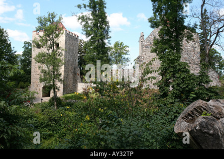 Château de pierre blanche cachée derrière de grands arbres avec moignon en premier plan Banque D'Images