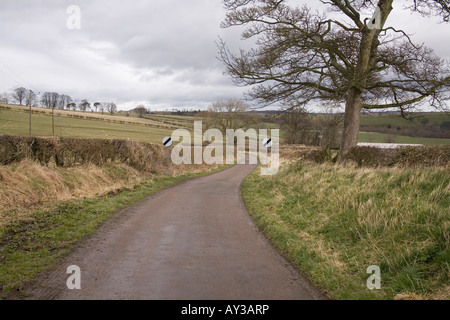 Le paysage rural autour du village de Glanton dans le Northumberland, en Angleterre. Banque D'Images