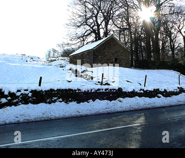 Un abri du bétail en hiver avec la neige sur le sol et le soleil brille à travers les arbres près de Buxton Derbyshire, Angleterre,. Banque D'Images