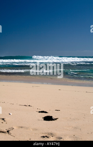 Plage et l'océan au parc Prevelly, Margaret River en Australie de l'ouest Banque D'Images