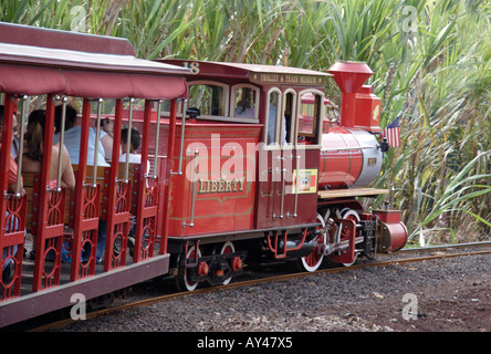 Petit train à la plantation d'Ananas Dole Oahu Hawaii Banque D'Images