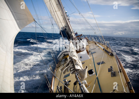 La voile à St Lucia sur Whitbread Banque D'Images