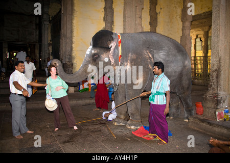 Touristiques de l'ouest d'être béni par un éléphant, Temple Meenakshi, Madurai, Tamil Nadu, Inde Banque D'Images