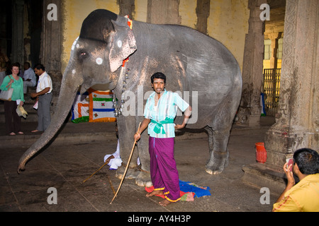 Mahout debout à côté de son éléphant, Temple Meenakshi, Madurai, Tamil Nadu, Inde Banque D'Images