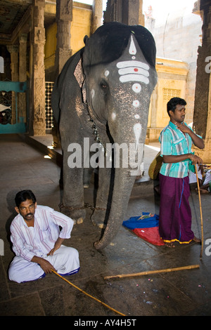 Deux cornacs en regard de leur éléphant, Temple Meenakshi, Madurai, Tamil Nadu, Inde Banque D'Images