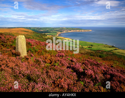 Robin Hoods Bay North York Moors Yorkshire Angleterre Banque D'Images