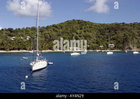 Yachts amarrés à Cooper Island Îles Vierges britanniques Caraïbes Banque D'Images
