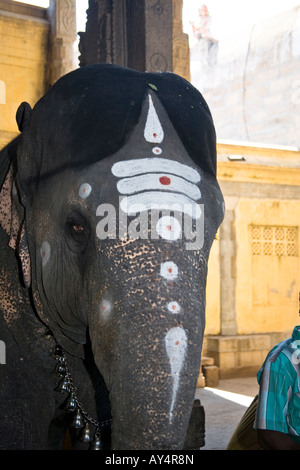 Éléphant avec tête peinte et le tronc, Temple Meenakshi, Madurai, Tamil Nadu, Inde Banque D'Images