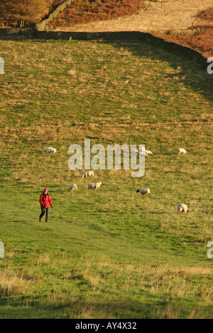Une colline walker dans la vallée de Edale sur un matin d'automne en Angleterre Derbyshire Peak District UK Banque D'Images