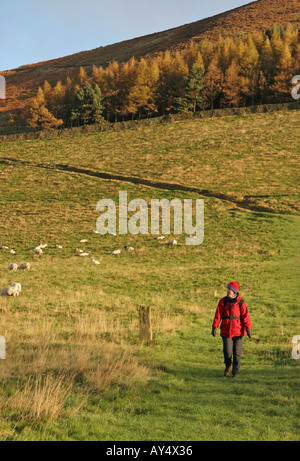 Une colline walker dans la vallée de Edale sur un matin d'automne en Angleterre Derbyshire Peak District UK Banque D'Images