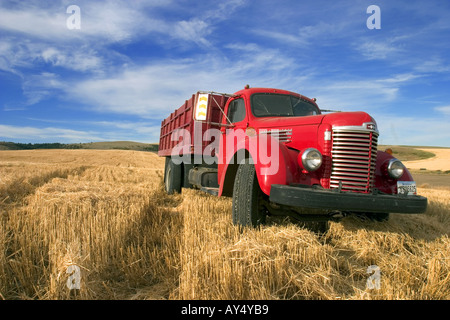 1940 International Harvester s KB 7 camion dans un champ dans le Montana, USA Banque D'Images