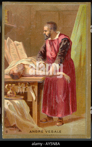 Vésale Trade Card Banque D'Images