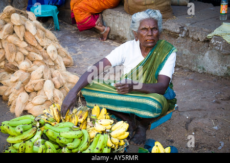 Femme vendant des bananes et noix de coco dans un marché de rue, Madurai, Tamil Nadu, Inde Banque D'Images