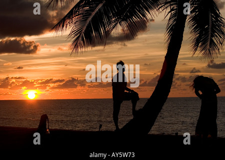 Jeune homme pose sur palmier alors que son partenaire lui des photographies dans le contexte d'un magnifique coucher de soleil, de Bornéo, en Asie du sud-est Banque D'Images