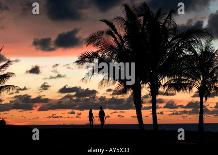 Jeune couple à pied le long de plage au coucher du soleil avec palmier dans l'avant-plan , Bornéo , Asie du sud-est Banque D'Images