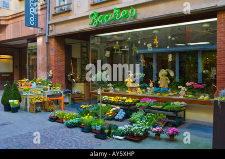 Le magasin de fleurs dans la Ville de Luxembourg Europe Banque D'Images