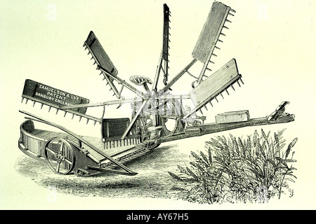 L'ensileuse. Illustration d'antiquités. 1890 Banque D'Images