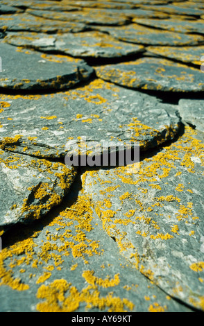 Toit incurvé traditionnelles ardoises, La Llagonne, Cerdagne, Pyrénées Méditerranée, France Banque D'Images