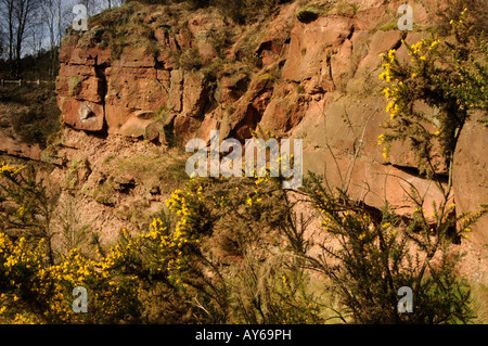 Parkhall canyon Parc Campagne Banque D'Images