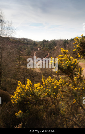 Canyon en campagne parkhall park Banque D'Images