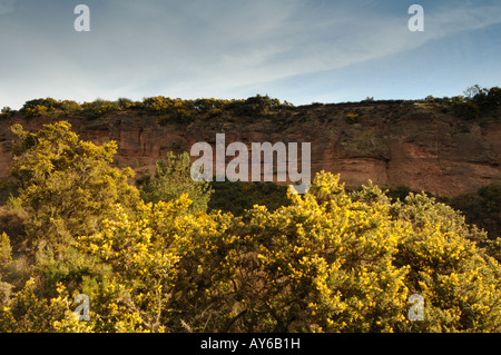 Parkhall canyon Parc Campagne Banque D'Images