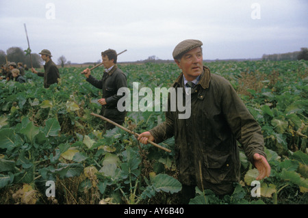 Garde-chasse et ouvriers agricoles travaillant comme batteurs battant à travers un champ de chou frisé. Faisan tirant sur le domaine privé du Lancashire. ANNÉES 1980 ROYAUME-UNI HOMER SYKES Banque D'Images