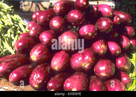 Région Centre, Quatre Bornes, aubergine, légumes Banque D'Images