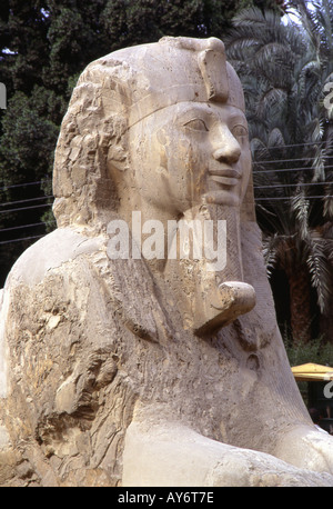 Sphinx d'albâtre de Memphis Caire République arabe d'Egypte Afrique du Nord Moyen-orient égyptien Banque D'Images