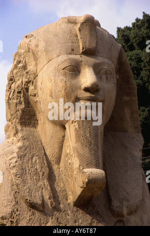 Sphinx d'albâtre de Memphis Caire République arabe d'Egypte Afrique du Nord Moyen-orient égyptien Banque D'Images