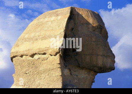 Grand Sphinx de Gizeh Temple vallée Caire République arabe d'Egypte Afrique du Nord Moyen-orient égyptien Banque D'Images