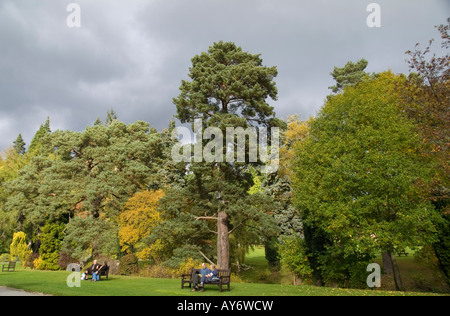 Le parc du château de Blair Atholl Estates (), Perthshire, Pitlochry, Highlands, Scotland Banque D'Images