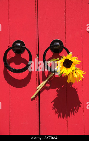 Tournesols en cercle de poignées de porte rouge Banque D'Images