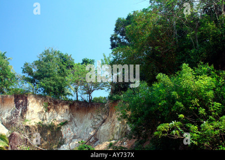 Arbres en haut d'une falaise donnant sur Carrière de granit contre un ciel bleu azur sans nuages clairs Banque D'Images