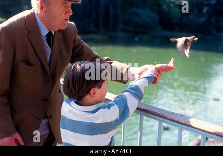 Older Man teaching young boy comment nourrir les oiseaux dans le parc. Banque D'Images