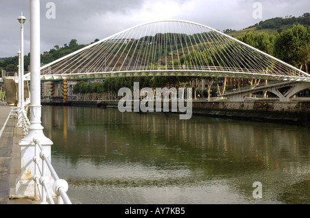 Vue panoramique de l'Ayuntamiento Pont sur rivière Nervion Bilbao Bilbo Pays basque Pays Basque Espagne España Iberia Europe Banque D'Images