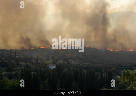 Forêt en Grèce le 08 juillet 2007 le feu sur l'île de Samos, dans la zone entre Mitilini et Égine. Banque D'Images
