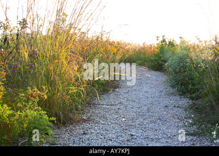 Chemin de PIERRE DANS LE NORD DE L'ILLINOIS USA MIDWEST PRAIRIE Banque D'Images