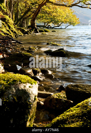 Buttermere, Lake District, Cumbria. La rive orientale de la lande dans le Lake District, Cumbria en automne Banque D'Images