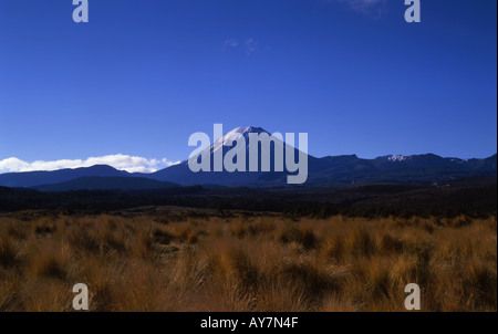 Mt Ngauruhoe Parc National de Tongariro Île du Nord Nouvelle-zélande Banque D'Images