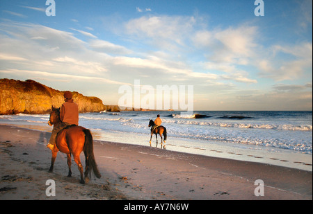 Deux cavaliers à Lunan Bay peu avant le coucher du soleil. Banque D'Images