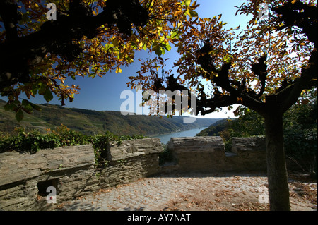 Look de la Schönburg Oberwesel Schoenburg château au bord du Rhin en Allemagne Banque D'Images