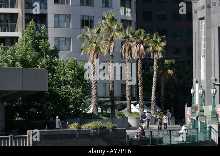 Palmiers bordent promenade at Southgate Centre shopping et restaurants sur Southbank Melbourne Australie Victoria Banque D'Images